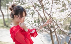 肉电伦影博射激内逍遥阁